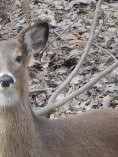 Route 224 Trailhead - East Golf Hike & Bike Trail - Boardman, OH