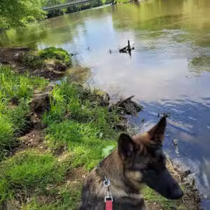River Community Park / Tuscarawas river water trail access ( river mile 71.8 ) - Bolivar, OH