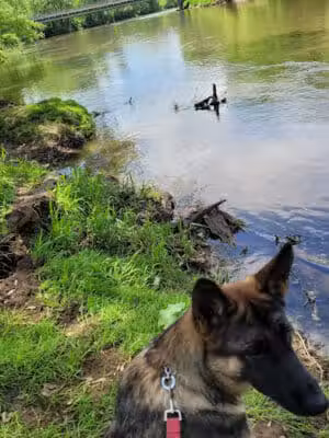 River Community Park / Tuscarawas river water trail access ( river mile 71.8 ) - Bolivar, OH
