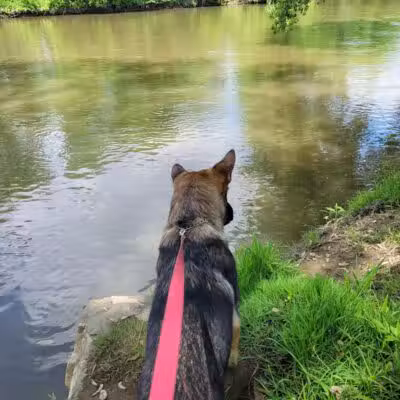 River Community Park / Tuscarawas river water trail access ( river mile 71.8 ) - Bolivar, OH