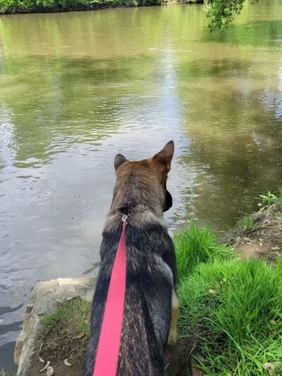 River Community Park / Tuscarawas river water trail access ( river mile 71.8 ) - Bolivar, OH