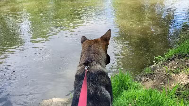 River Community Park / Tuscarawas river water trail access ( river mile 71.8 ) - Bolivar, OH