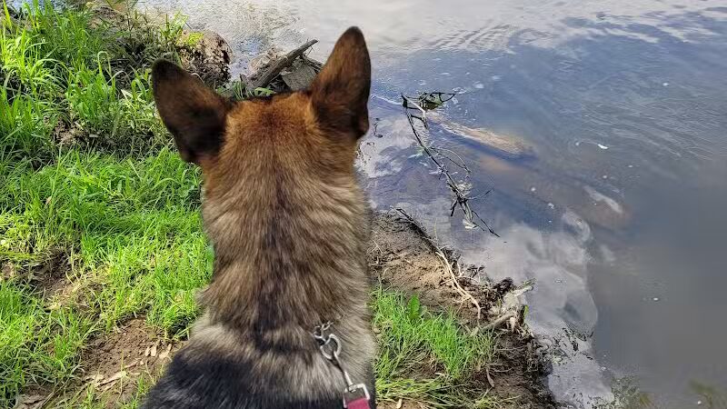River Community Park / Tuscarawas river water trail access ( river mile 71.8 ) - Bolivar, OH