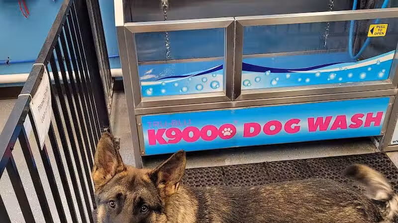 Wags N' Wiggles DIY Pet Wash - Bolivar, OH