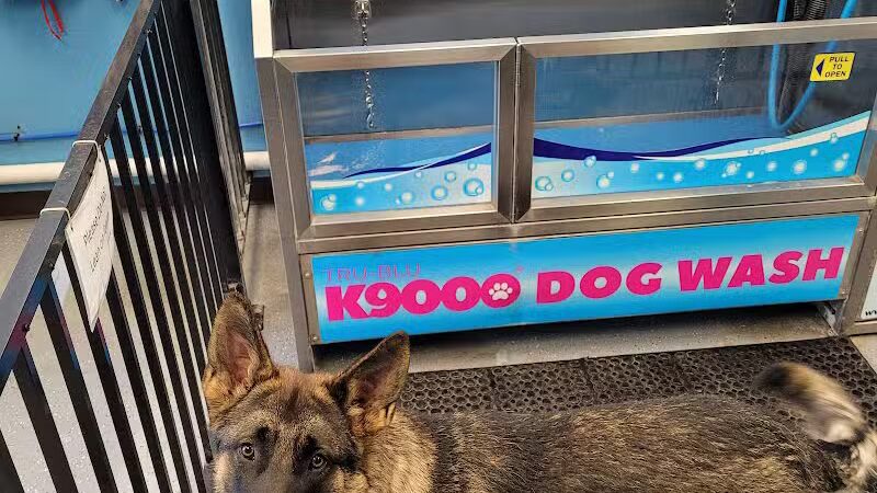 Wags N' Wiggles DIY Pet Wash - Bolivar, OH