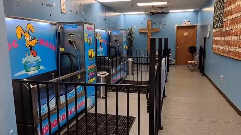 Wags N' Wiggles DIY Pet Wash - Bolivar, OH