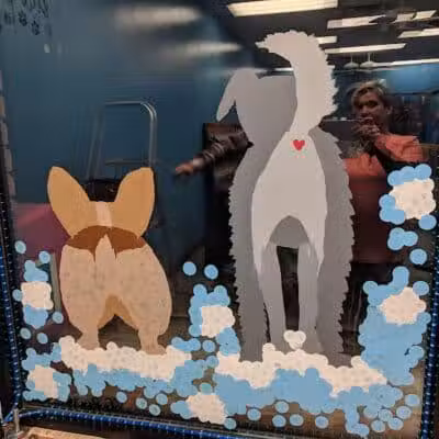 Wags N' Wiggles DIY Pet Wash - Bolivar, OH