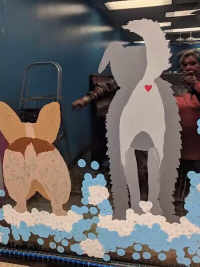 Wags N' Wiggles DIY Pet Wash - Bolivar, OH