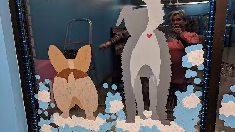 Wags N' Wiggles DIY Pet Wash - Bolivar, OH