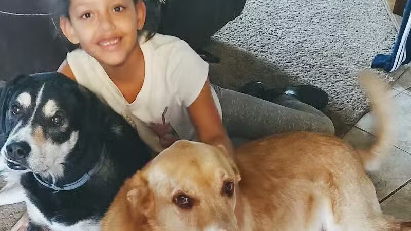 Wags N' Wiggles DIY Pet Wash - Bolivar, OH