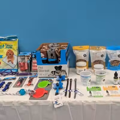 Wags N' Wiggles DIY Pet Wash - Bolivar, OH