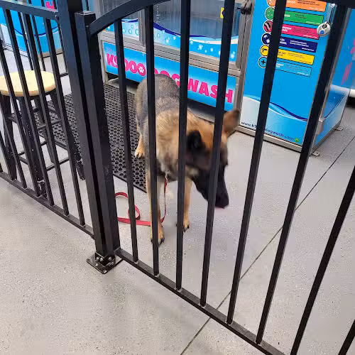 Wags N' Wiggles DIY Pet Wash - Bolivar, OH
