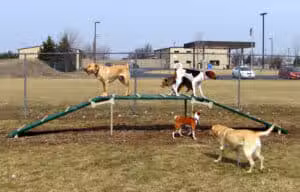 Wood County Dog Park - Bowling Green, OH