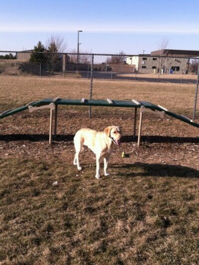 Wood County Dog Park - Bowling Green, OH