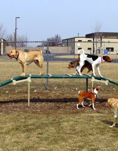 Wood County Dog Park - Bowling Green, OH