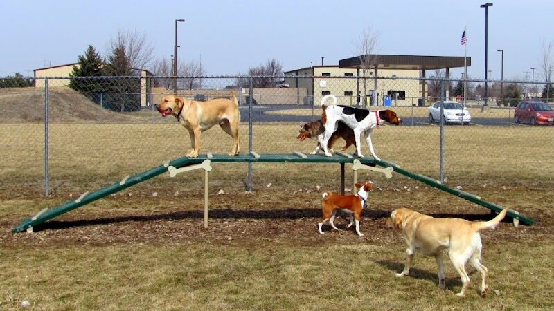 Wood County Dog Park - Bowling Green, OH