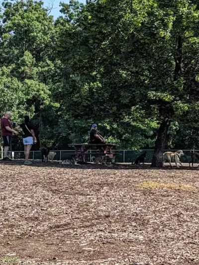 Doggie Dugout-Registration Required - Bowmansdale, PA