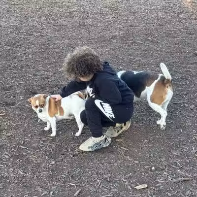 Doggie Dugout-Registration Required - Bowmansdale, PA
