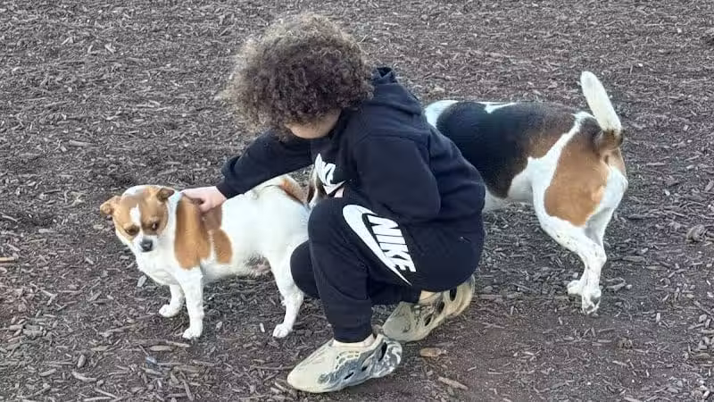 Doggie Dugout-Registration Required - Bowmansdale, PA
