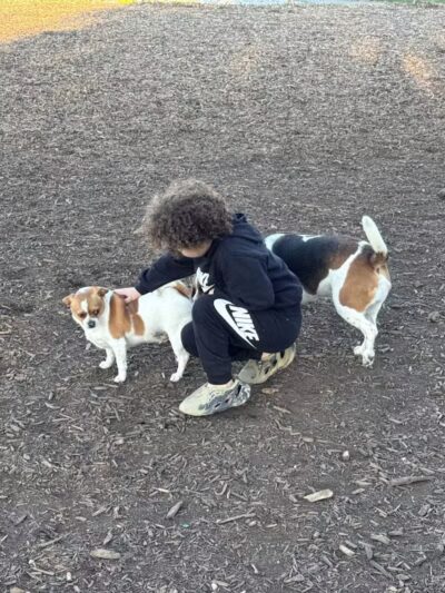 Doggie Dugout-Registration Required - Bowmansdale, PA