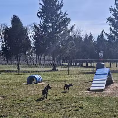 Doggie Dugout-Registration Required - Bowmansdale, PA