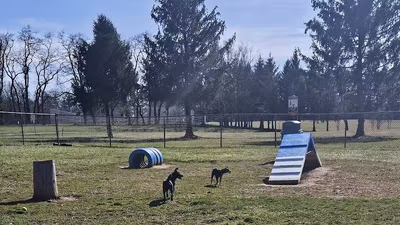 Doggie Dugout-Registration Required - Bowmansdale, PA