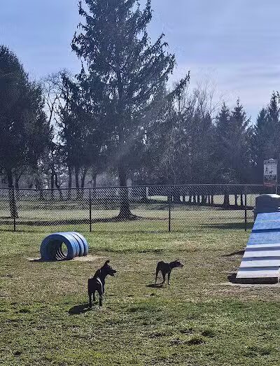 Doggie Dugout-Registration Required - Bowmansdale, PA