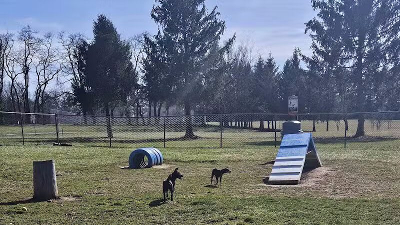 Doggie Dugout-Registration Required - Bowmansdale, PA