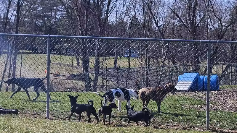 Doggie Dugout-Registration Required - Bowmansdale, PA