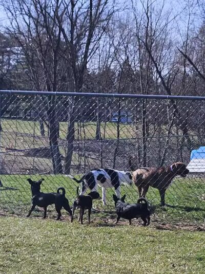 Doggie Dugout-Registration Required - Bowmansdale, PA