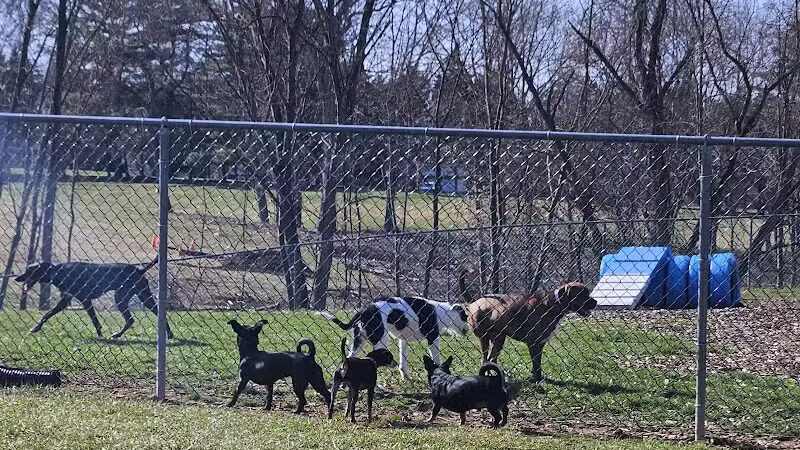 Doggie Dugout-Registration Required - Bowmansdale, PA