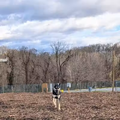 Doggie Dugout-Registration Required - Bowmansdale, PA
