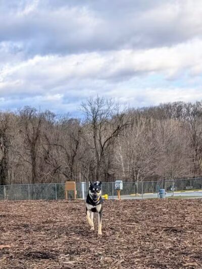 Doggie Dugout-Registration Required - Bowmansdale, PA