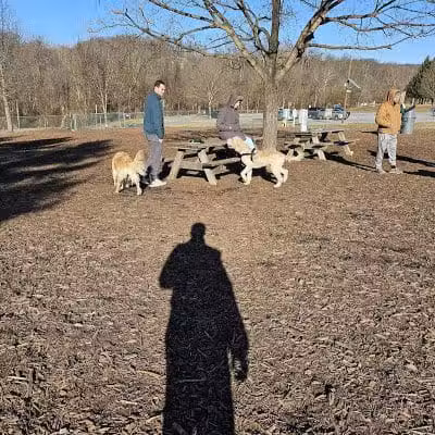 Doggie Dugout-Registration Required - Bowmansdale, PA