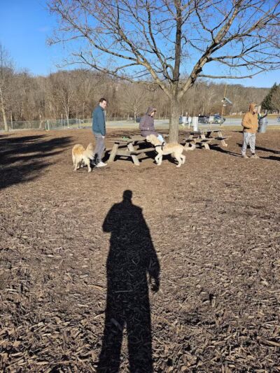 Doggie Dugout-Registration Required - Bowmansdale, PA