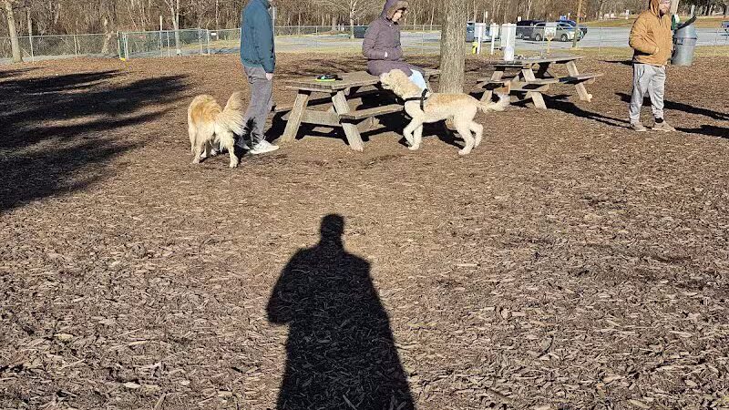 Doggie Dugout-Registration Required - Bowmansdale, PA