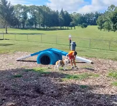 Doggie Dugout-Registration Required - Bowmansdale, PA