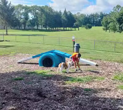 Doggie Dugout-Registration Required - Bowmansdale, PA