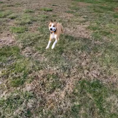 Gettysburg Community Park - Bradford, OH