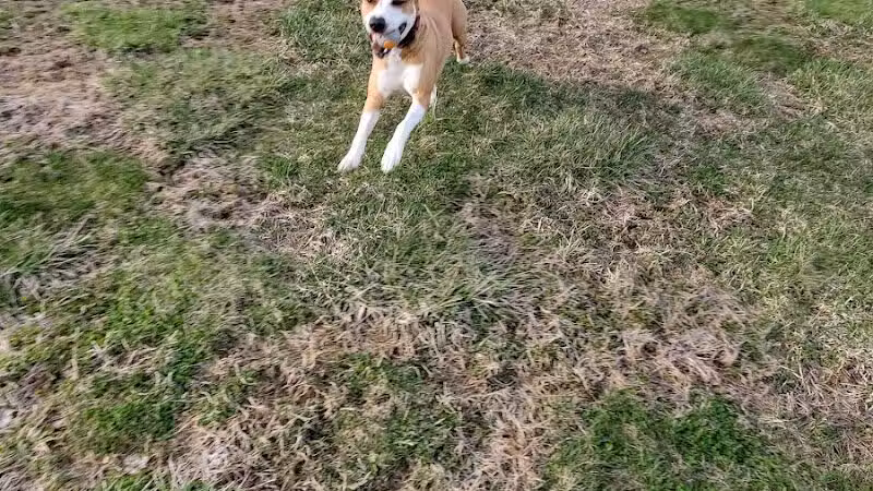 Gettysburg Community Park - Bradford, OH