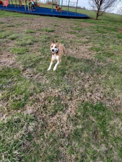 Gettysburg Community Park - Bradford, OH