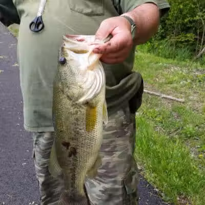 Bradner Park - Bradner, OH