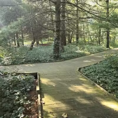 Bradner Preserve - Bradner, OH