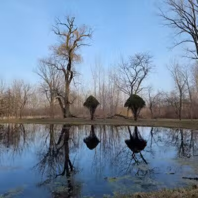 Bradner Preserve - Bradner, OH
