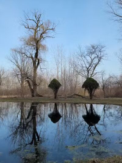 Bradner Preserve - Bradner, OH