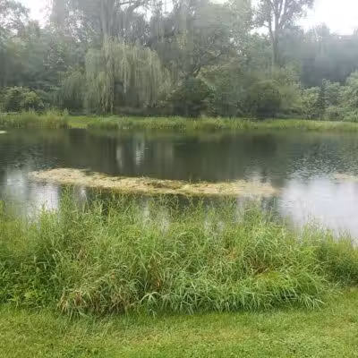 Bradner Preserve - Bradner, OH