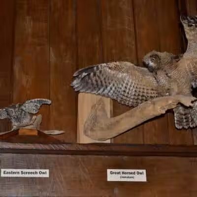 Brecksville Nature Center - Brecksville, OH