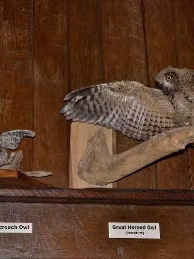 Brecksville Nature Center - Brecksville, OH