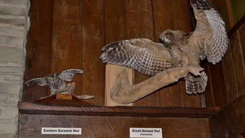 Brecksville Nature Center - Brecksville, OH