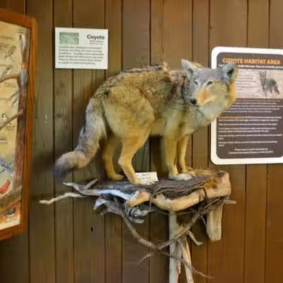 Brecksville Nature Center - Brecksville, OH